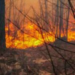 Fire Danger