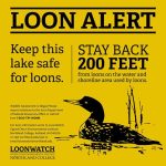 Loon Alert