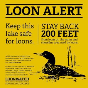 Loon Alert